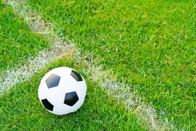 法甲直播体育 体育盛况